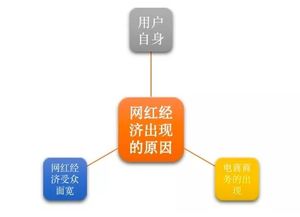 網紅農產品品牌運營發展報告（中篇） 網紅為什么這樣紅——營銷企劃與市場引爆之道